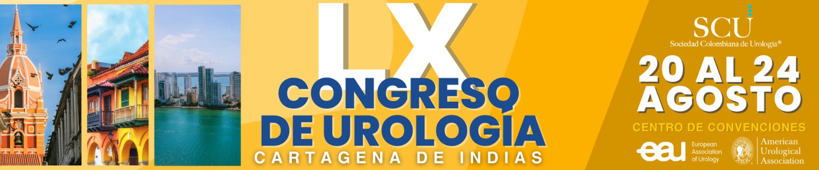 LX Congreso de Urología 2025